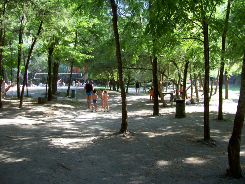  Image name: Parco039.jpg 
 width: 801 pixel 
 height: 601 pixel 
 Size: 528732 bytes 
 Click to enlarge 